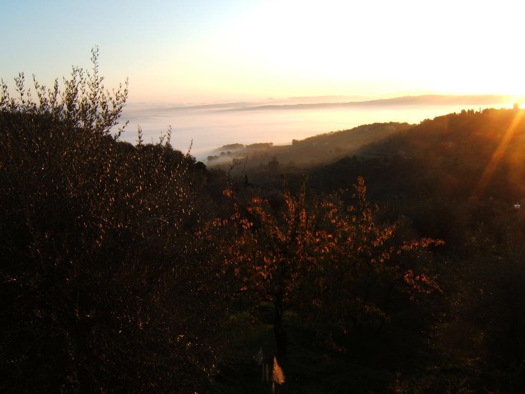Villa Santa Maria Montalcino Eksteriør bilde